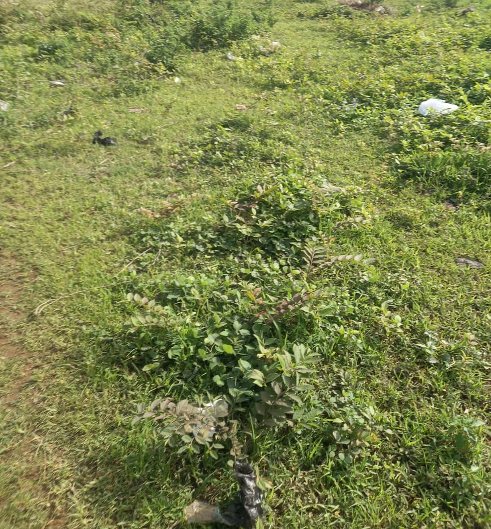 696.75Sqm Residential Land For Sale in Mabushi