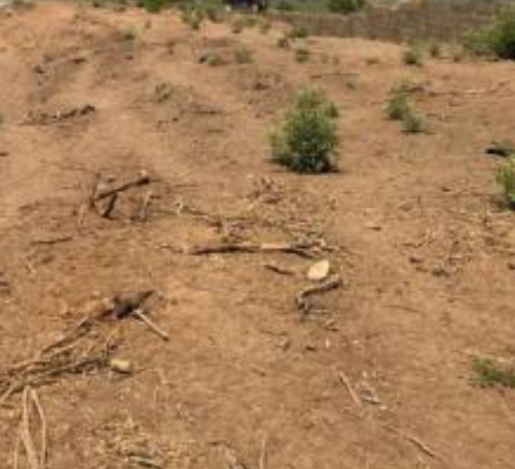 1.37 Hectares Mixed-Use Land For Sale in Dakibuyu