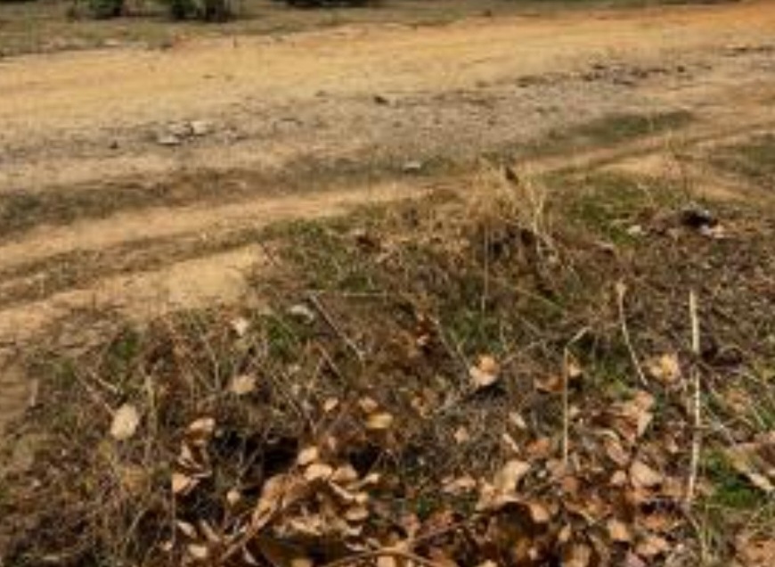 3265sqm Commercial Land for Sale in Dape