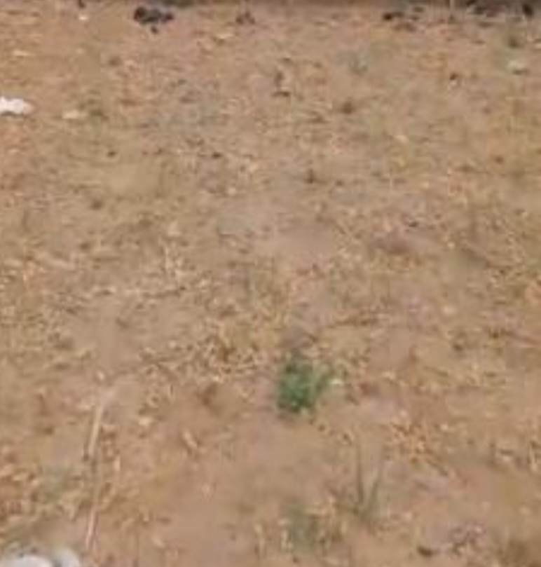 6541.10Sqm Mixed-Use Land For Sale in Mabushi First Plot by Ahmadu Belloway 