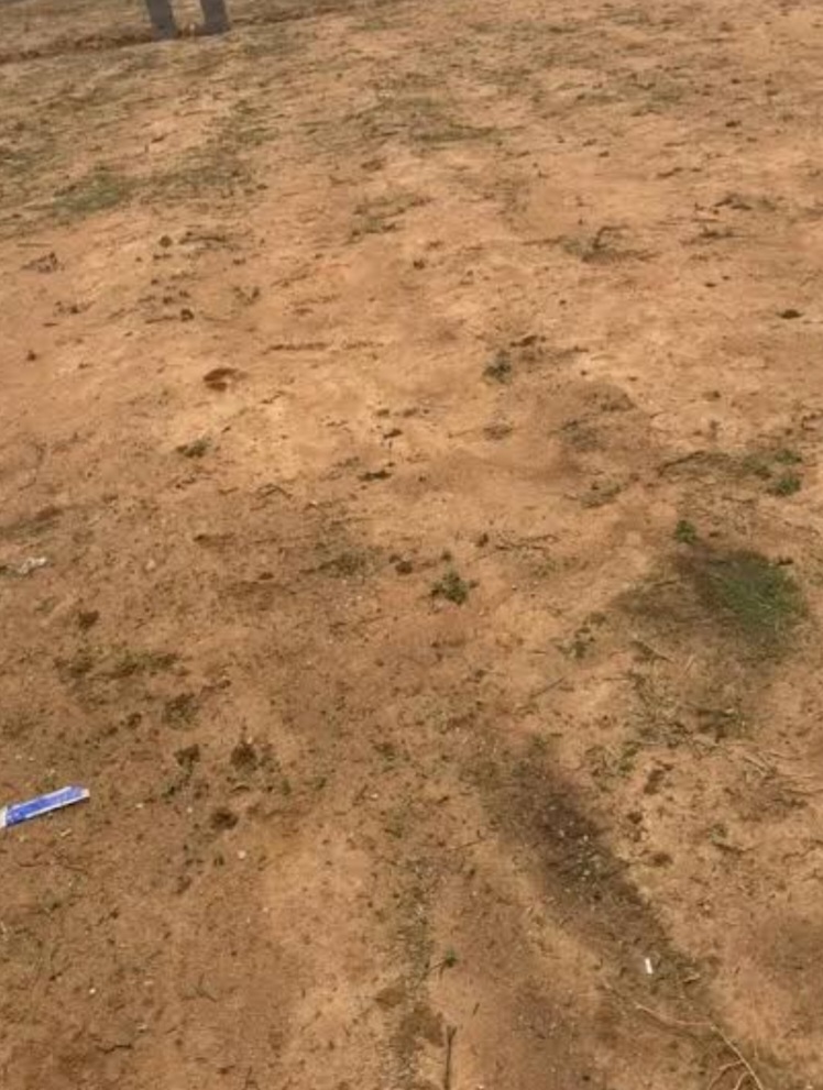856Sqm Residential Land For Sale in Katampe 