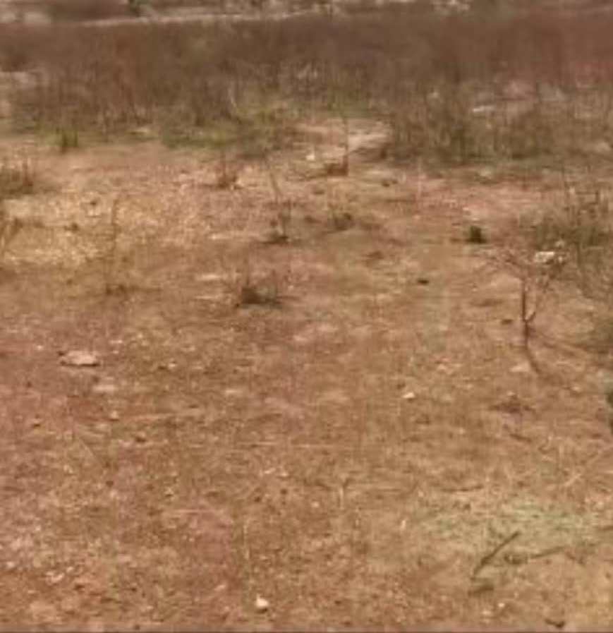 707.10Sqm Residential Land For Sale in Katampe