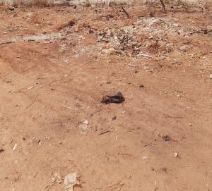 800Sqm Residential Land For Sale in Apo-Dutse