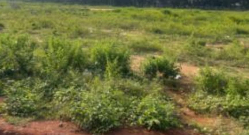 5000Sqm Commercial Land For Sale in Kaura