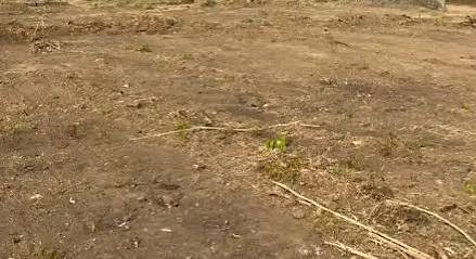 3900Sqm Commercial land For Sale in Gudu